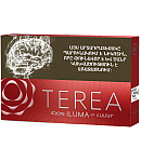 Տաքացվող ծխախոտի գլանակներ «TEREA SIENNA»
