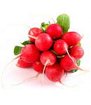 Բողկ 