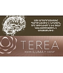 Табак нагреваемый «TEREA TEAK»