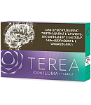 Տաքացվող ծխախոտի գլանակներ «TEREA PURPLE WAVE»
