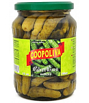 Մարինացված կորնիշոններ «Coopoliva»  720մլ