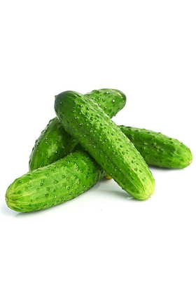 Վարունգ, ռուսական