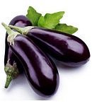 Սմբուկ